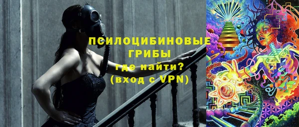 СК Санкт-Петербург