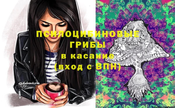 индика Абдулино