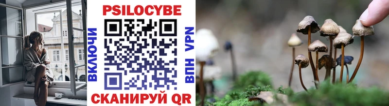 купить наркоту Алагир Галлюциногенные грибы Psilocybine cubensis